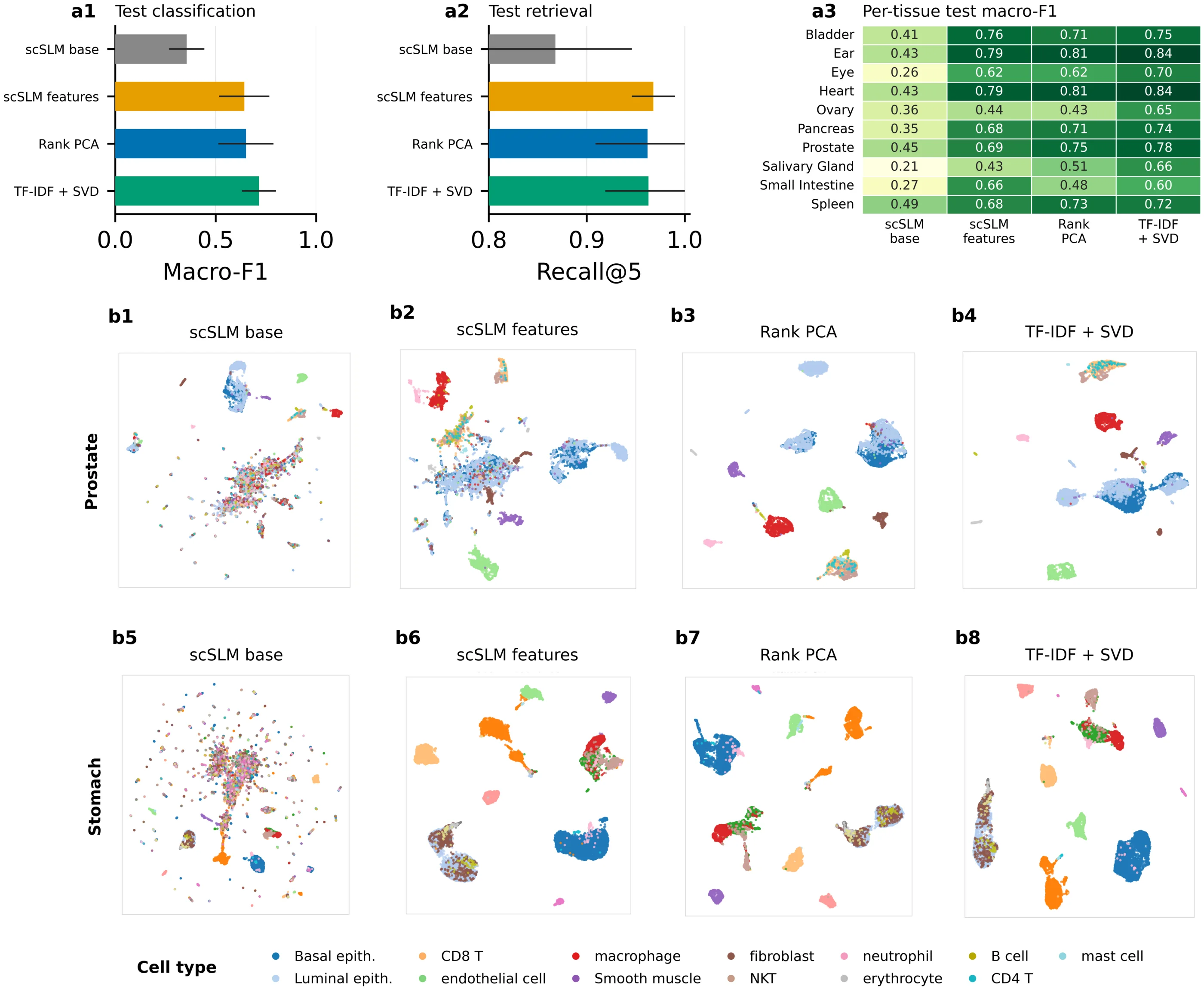Domain alignment results with macro-F1, Recall at 5, per-tissue scores, and UMAP projections